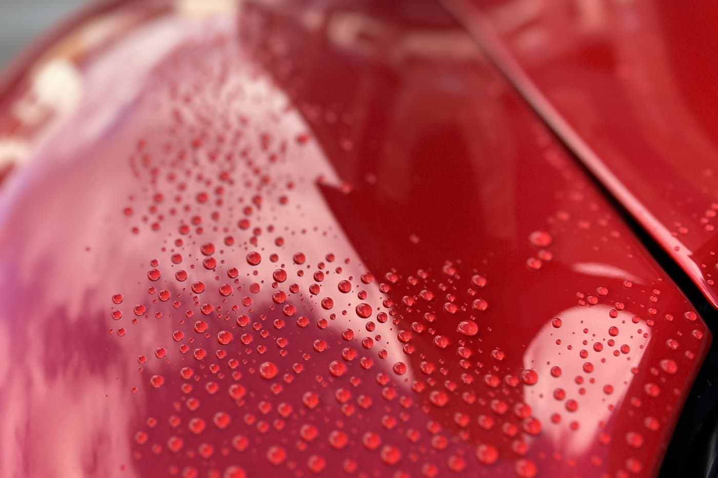 Water beading on freshly protected paint